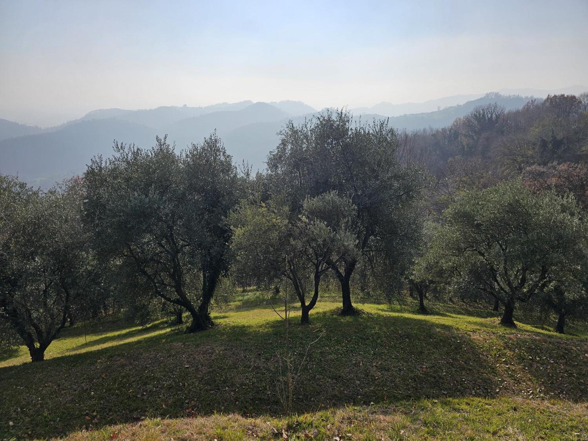 B&B Ca'Baracca Bellavista Bassano del Grappa Dış mekan fotoğraf